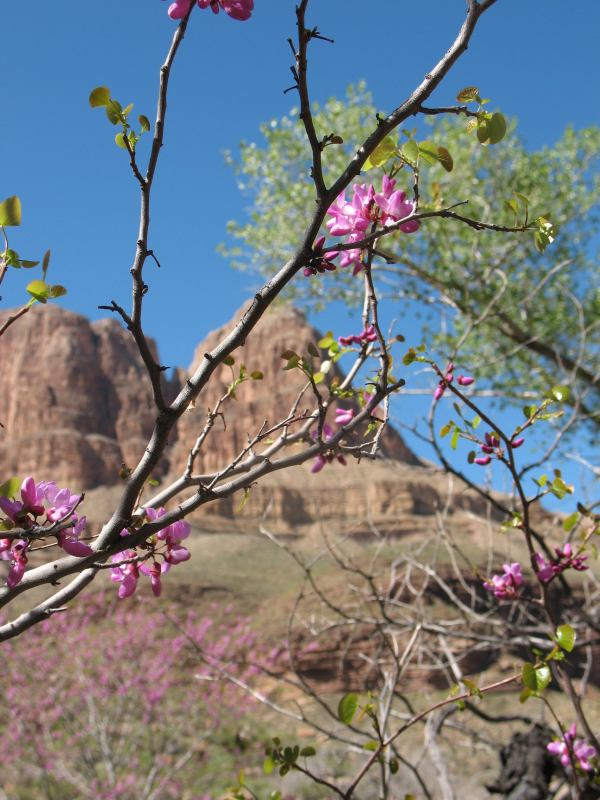 back to 2008 gallery