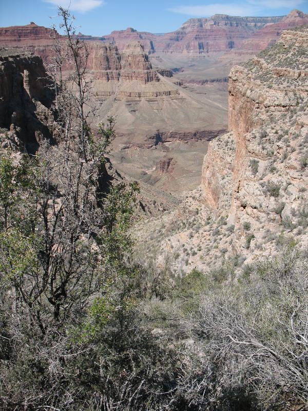 back to 2008 gallery