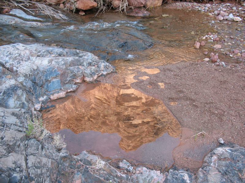 back to 2008 gallery