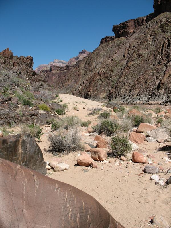 back to 2008 gallery