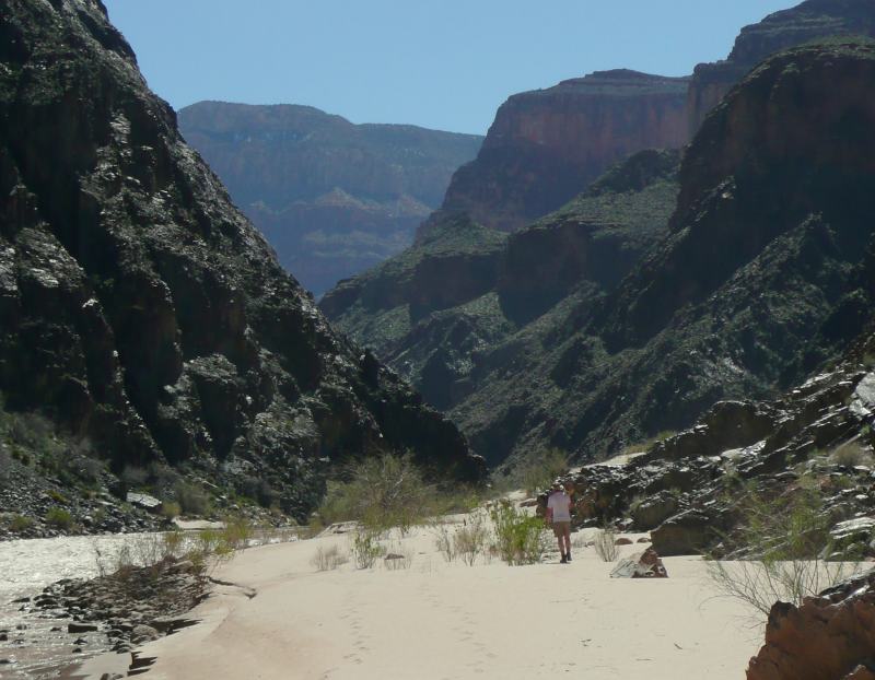 back to 2008 gallery