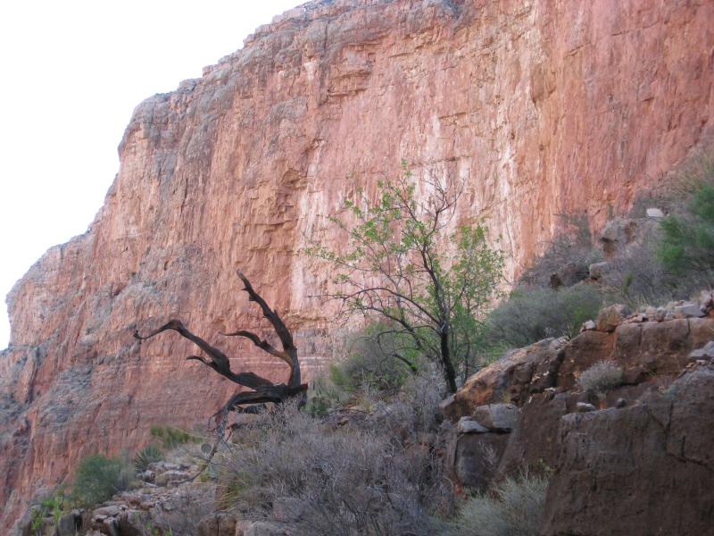 back to 2008 gallery