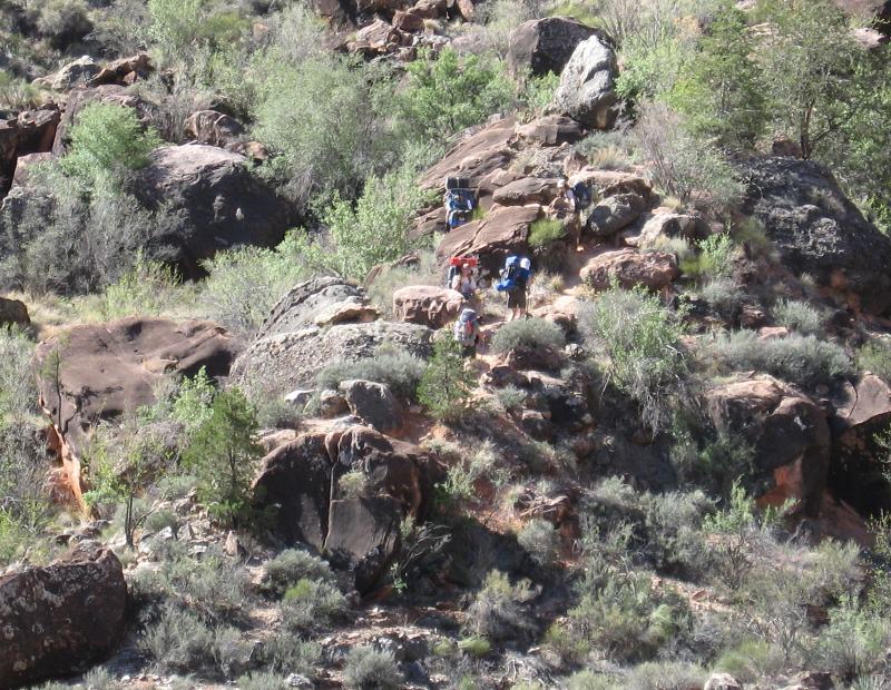 back to 2008 gallery