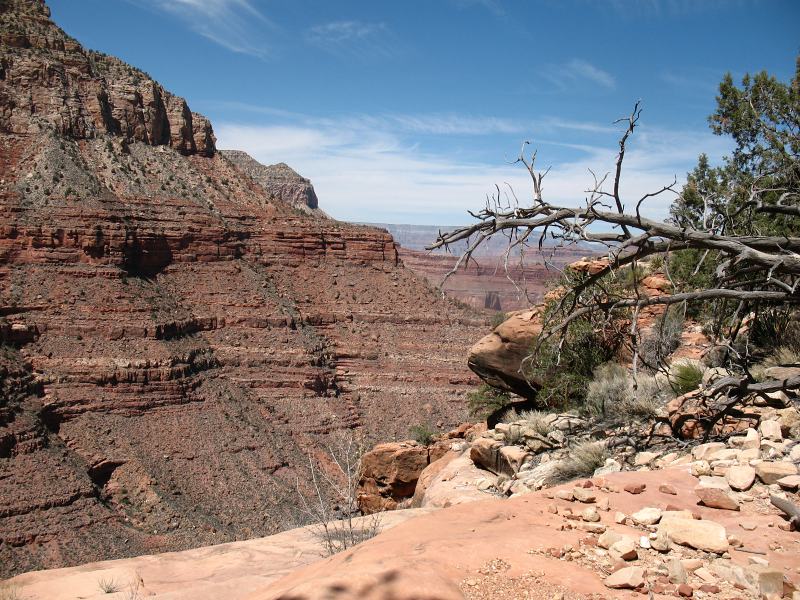 back to 2008 gallery