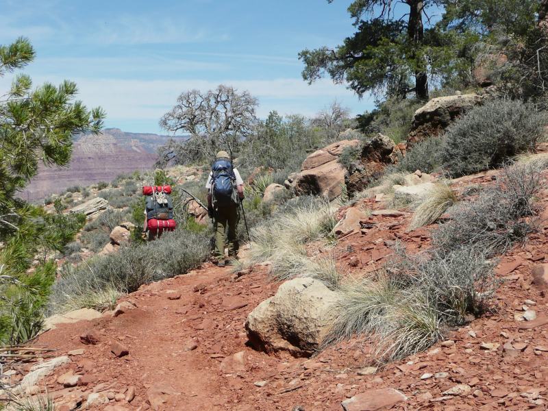 back to 2008 gallery