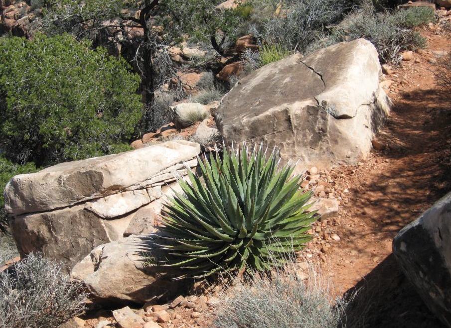 back to 2008 gallery