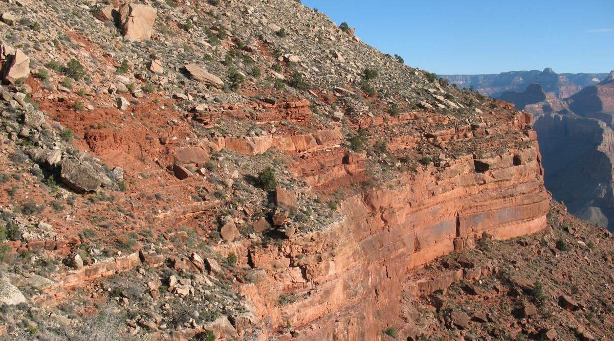 back to 2008 gallery