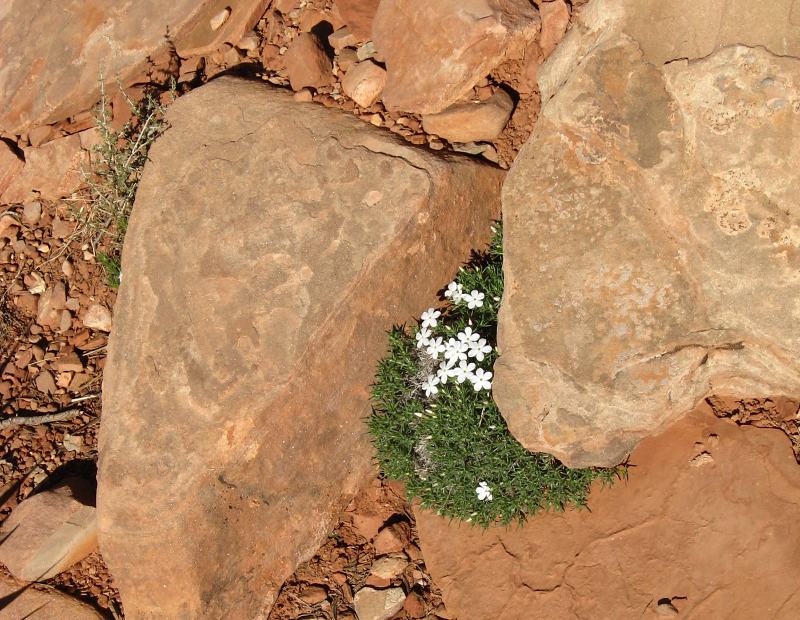 back to 2008 gallery