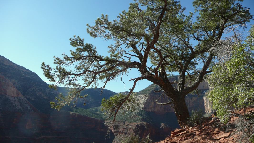 back to 2008 gallery