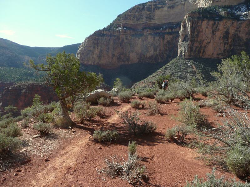 back to 2008 gallery