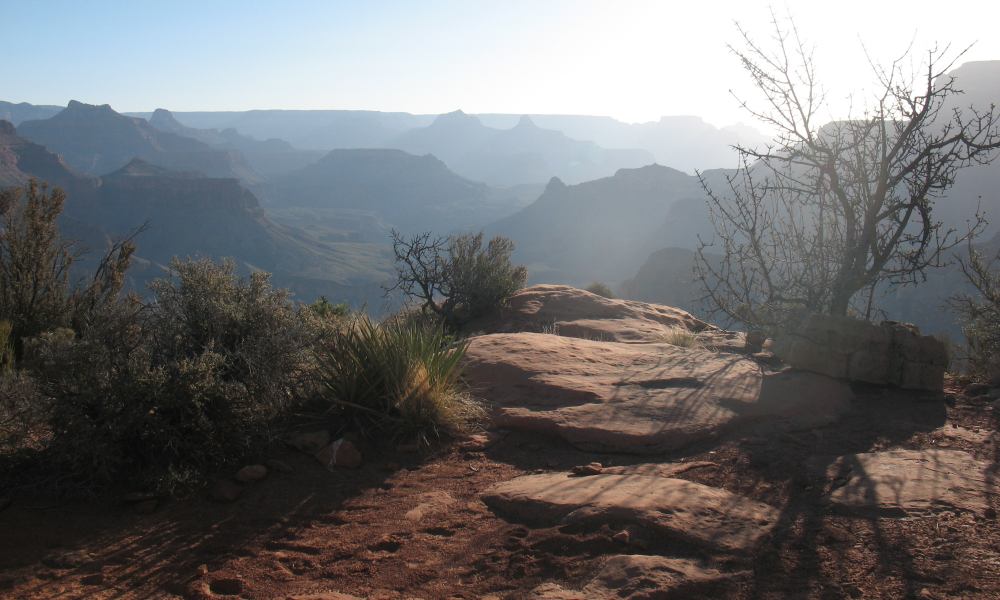 back to 2008 gallery