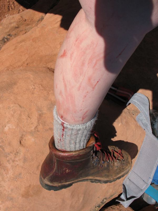 back to 2008 gallery