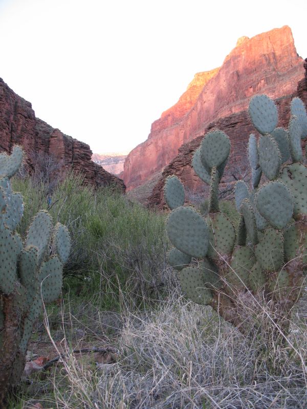 back to 2008 gallery