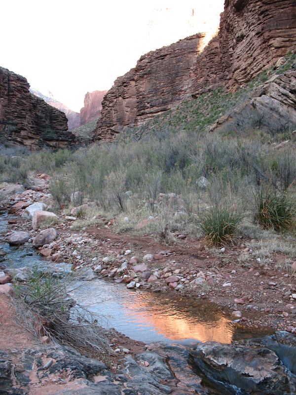 back to 2008 gallery