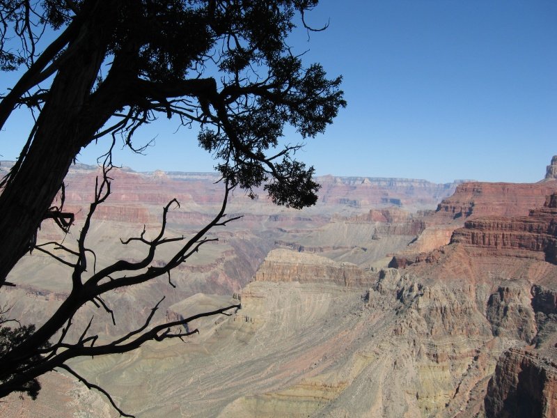 back to 2008 gallery