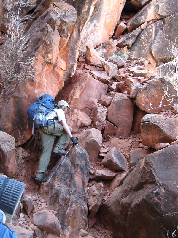 back to 2008 gallery