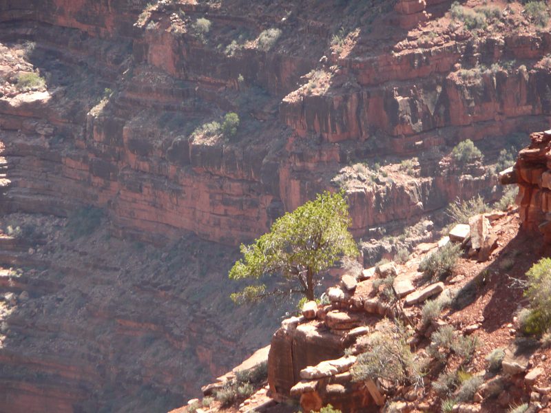 back to 2008 gallery