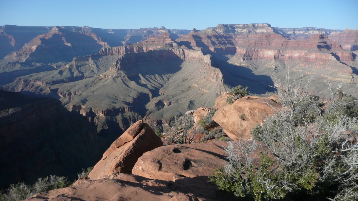 back to 2008 gallery