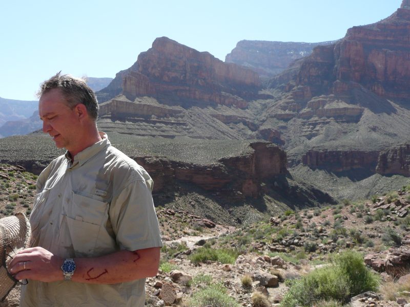 back to 2008 gallery