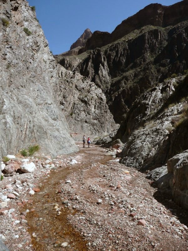 back to 2008 gallery