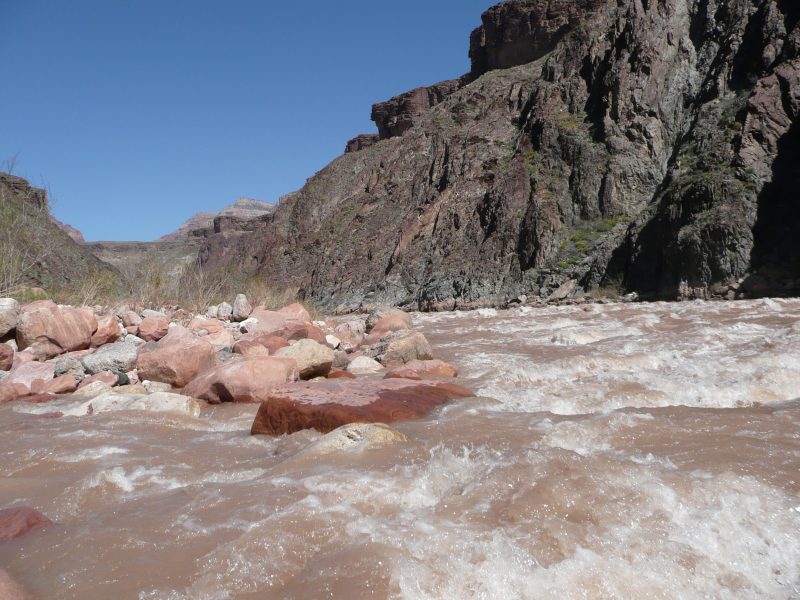 back to 2008 gallery