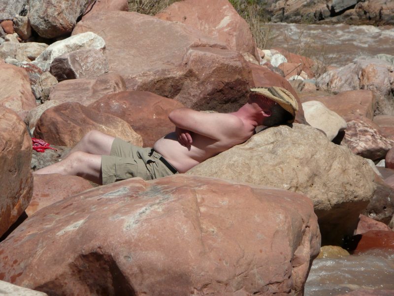 back to 2008 gallery