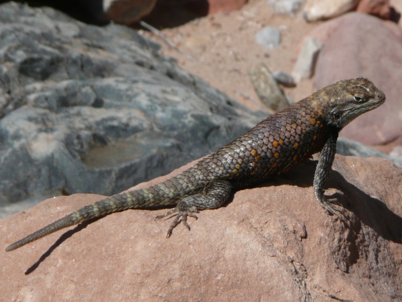 back to 2008 gallery