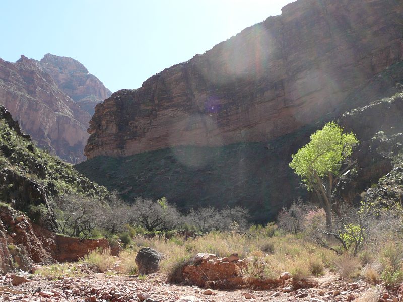 back to 2008 gallery