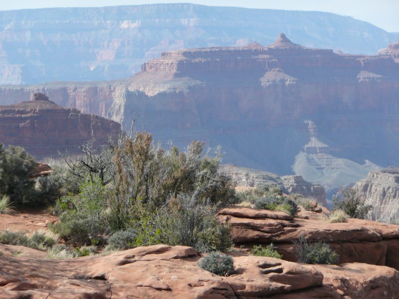 back to 2008 gallery