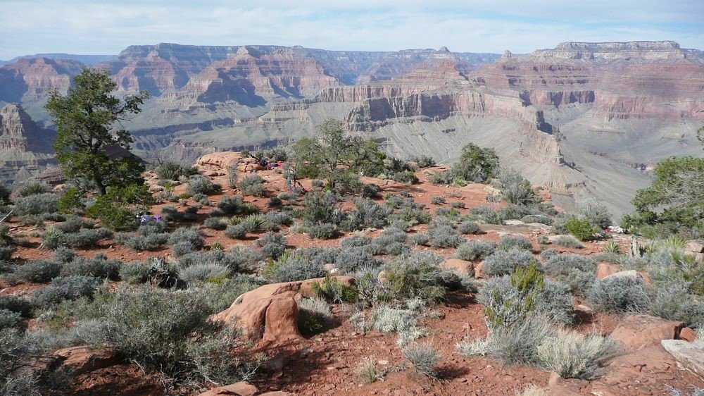 back to 2008 gallery