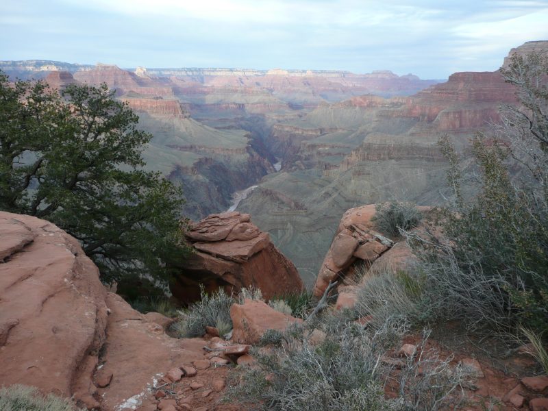 back to 2008 gallery