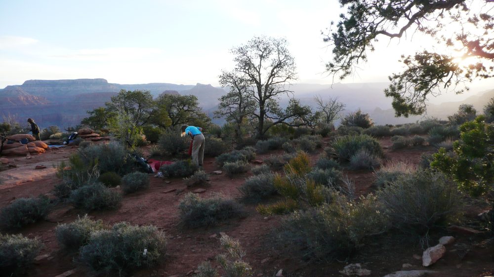 back to 2008 gallery