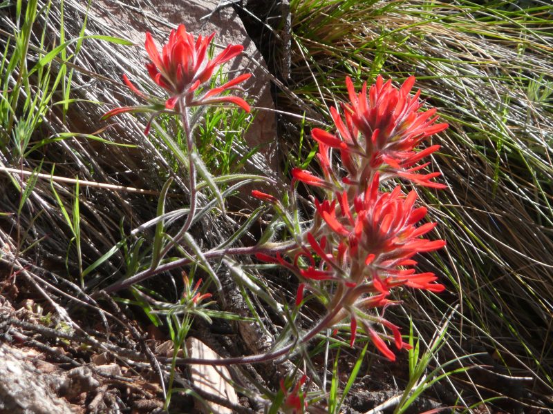 back to 2008 gallery