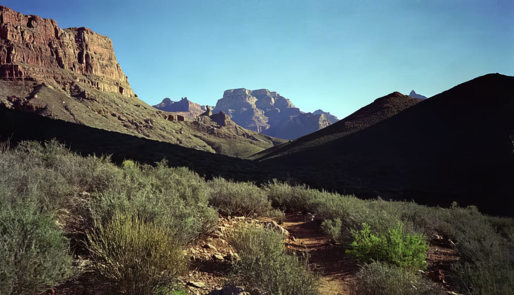 Morning-in-Grapevine-1995