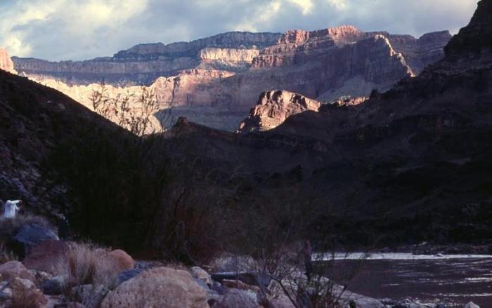 click for larger view